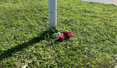 Flat Bush e-motorcycle crash: 15-year-old named as person who died