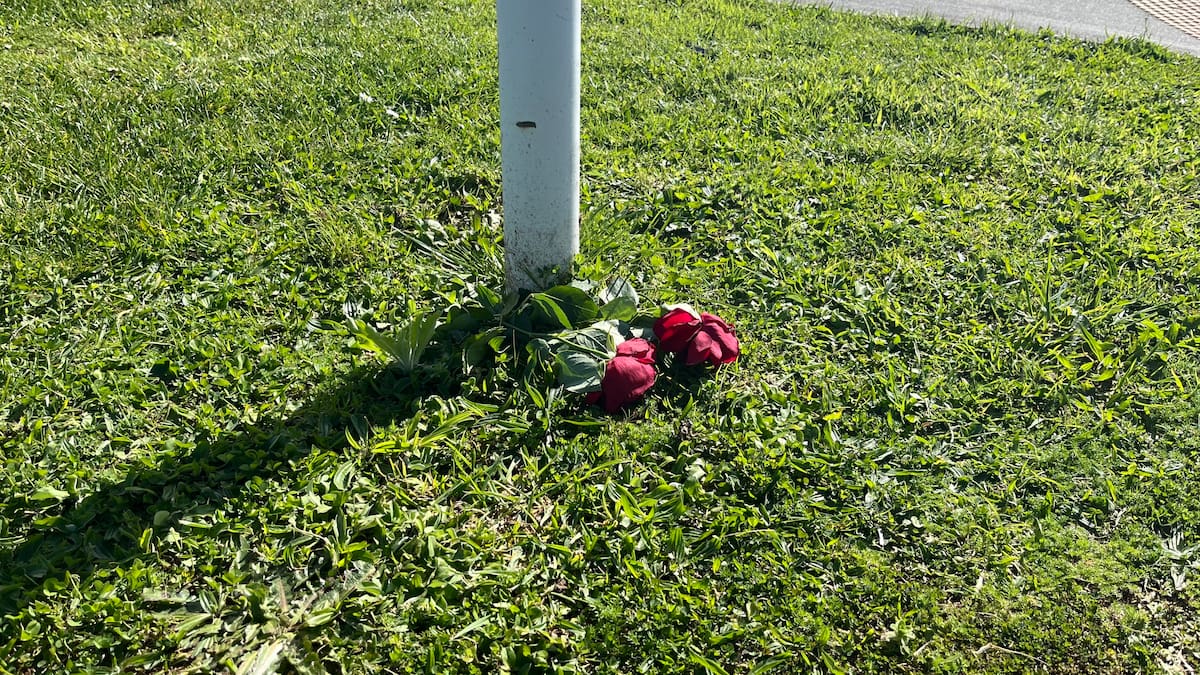 Flat Bush e-motorcycle crash: 15-year-old named as person who died