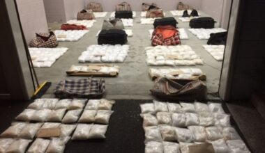 Ninety Mile Beach smuggler and methamphetamine trafficker Ulakai Fakaosilea fails to get life prison sentence reduced