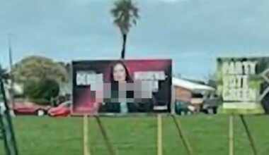 Election billboards vandalised: Debbie Ngarewa-Packer and Ryan Hamilton hit out