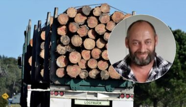 Canterbury truck driver Jason Chapman was not medically cleared to drive when he crashed and died on SH7, Associate Coroner finds