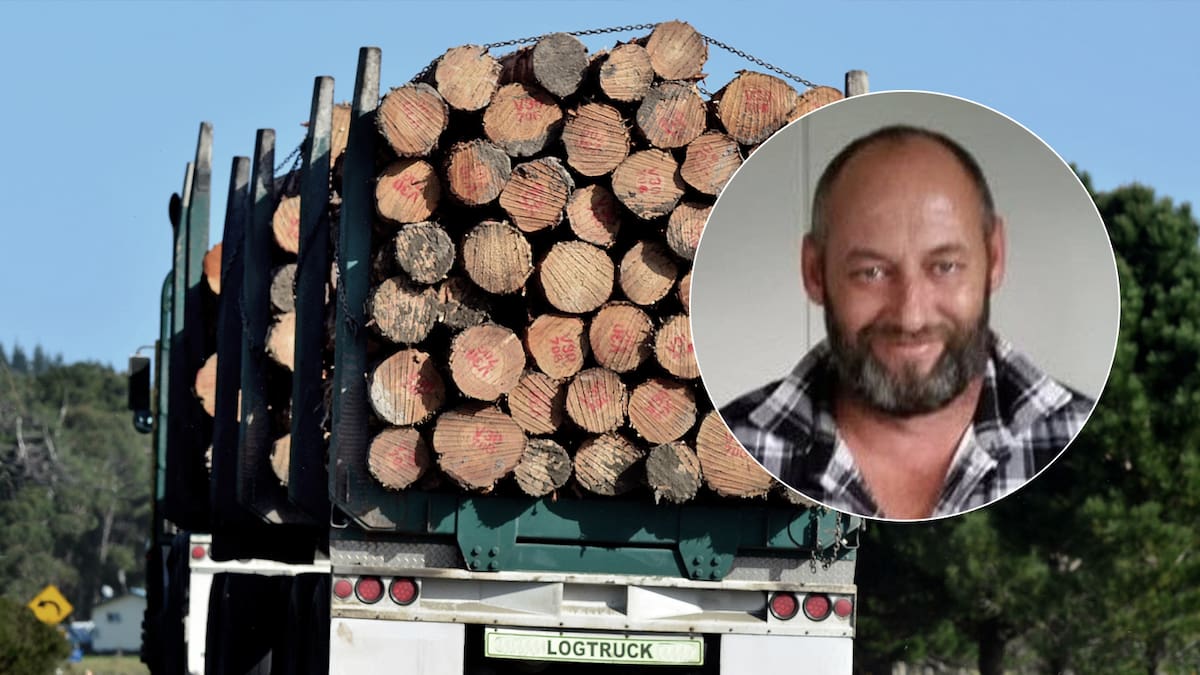 Canterbury truck driver Jason Chapman was not medically cleared to drive when he crashed and died on SH7, Associate Coroner finds