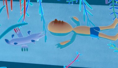 Spanish artist builds a dream world where technology and tradition play