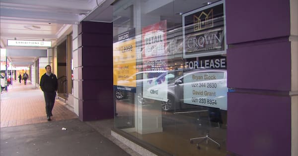 Greens want power for councils to fill vacant city centre shops