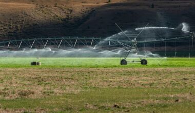 Major bank warns El Niño impact could slow GDP growth