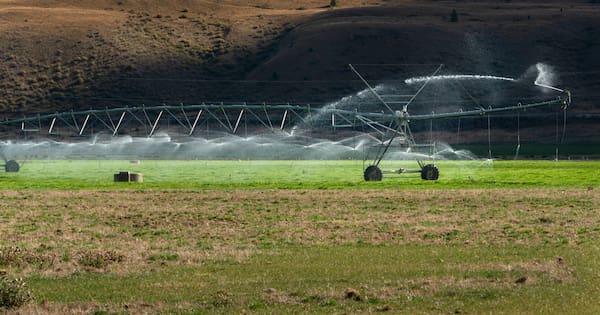 Major bank warns El Niño impact could slow GDP growth