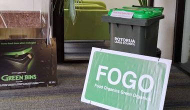 No discount on new city bin service despite three-month delay