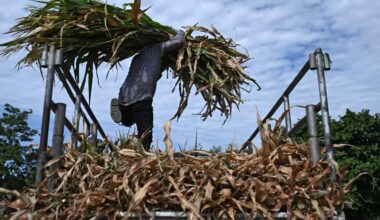 El Nino: A phenomenon supercharged by climate change | Environment News