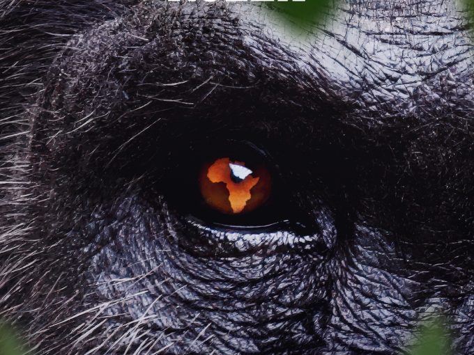 Realscreen » Archive » Nat Geo launches new natural history franchise from BBC Studios’ NHU