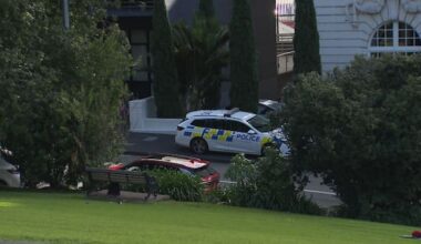 No jail time for woman who disposed of dead newborn baby in Auckland park