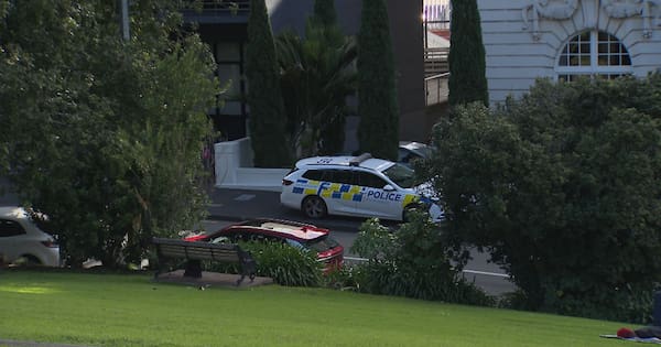 No jail time for woman who disposed of dead newborn baby in Auckland park