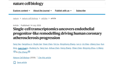 Novel Endothelial Subtype Uncovered in Human Coronary Atherosclerosis