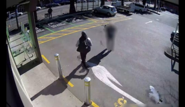 'Cold ones for sentencing': Man stole beer on his way to court