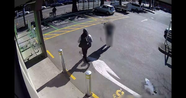 'Cold ones for sentencing': Man stole beer on his way to court