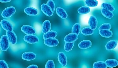 Whooping cough cases reported at Auckland secondary schools