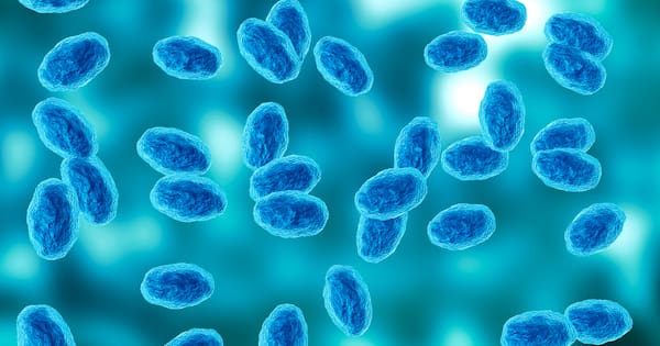 Whooping cough cases reported at Auckland secondary schools