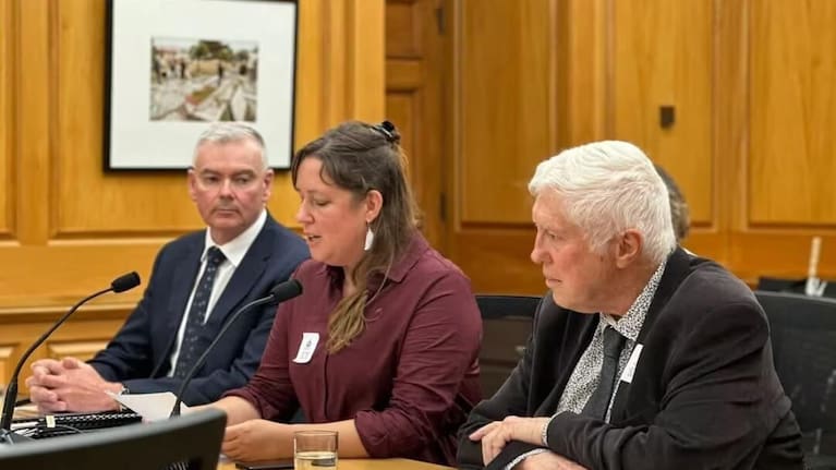 Coromandel MP Scott Simpson, petitioner Rochelle Zajko and retired engineer Peter Clarke spoke to the transport and infrastructure select committee at Parliament about the petition.