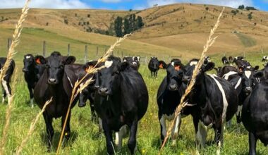 Major changes to KiwiSaver a step closer