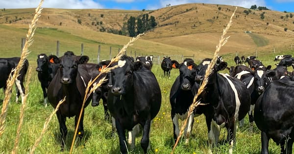 Major changes to KiwiSaver a step closer