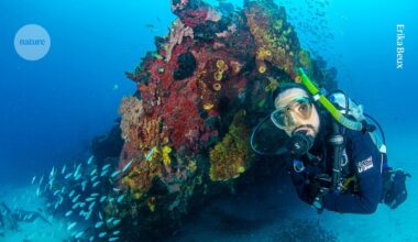 Donor-funded science is rising in Brazil ― upending a long tradition