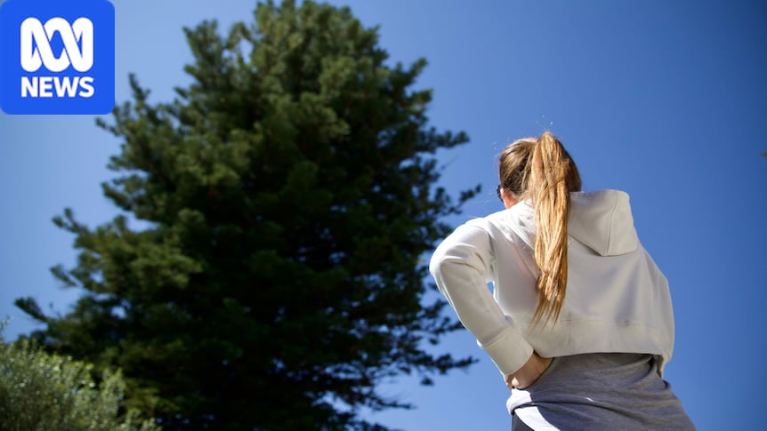 Melville resident to cut down giant pine before council tree policy change