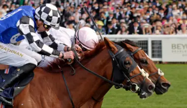 Australian Bloodstock trio aim up at Cups