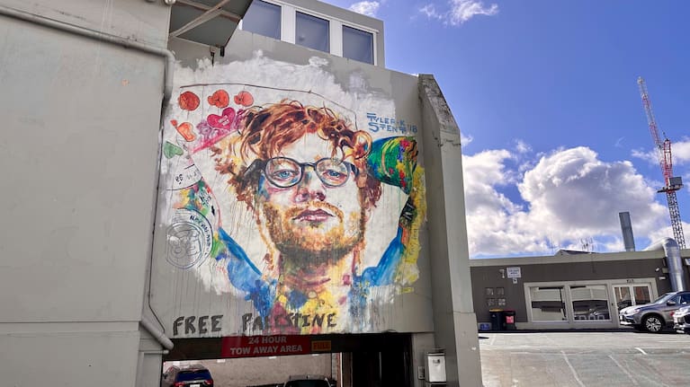 Dunedin’s landmark Ed Sheeran mural has the words 'Free Palestine' written across it.