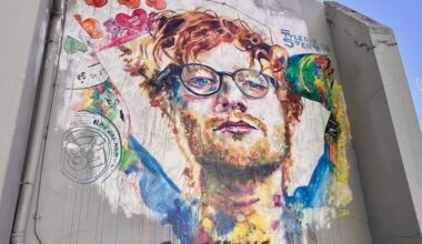 'Free Palestine' written across Dunedin's Ed Sheeran mural