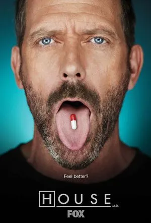 tv show poster for House