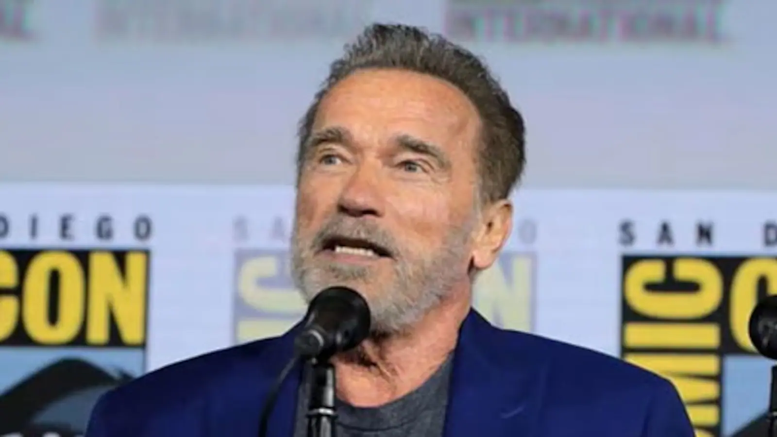 Arnold Schwarzenegger, 79, Does T-Bar Rows: Is Your Form Correct?