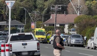 Pair who died in Nelson firearms incident named