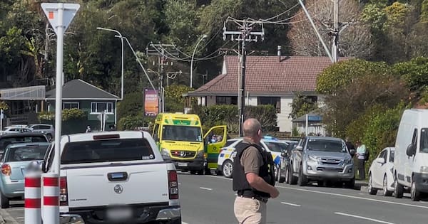Pair who died in Nelson firearms incident named