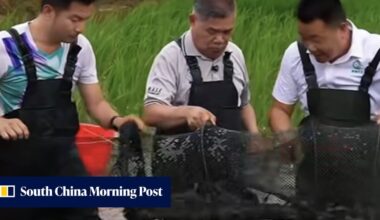 As rice output falls, Malaysia looks to China’s ‘2 yields, 1 land’ model