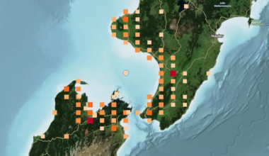 'Short n sharp': Magnitude 4.8 quake rattles central NZ