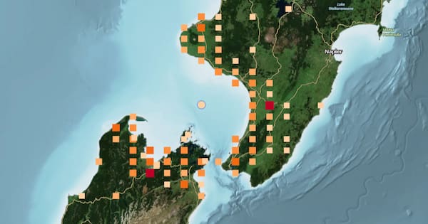 'Short n sharp': Magnitude 4.8 quake rattles central NZ