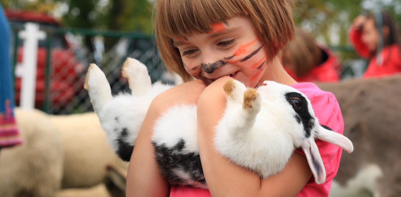 Are petting zoos safe?