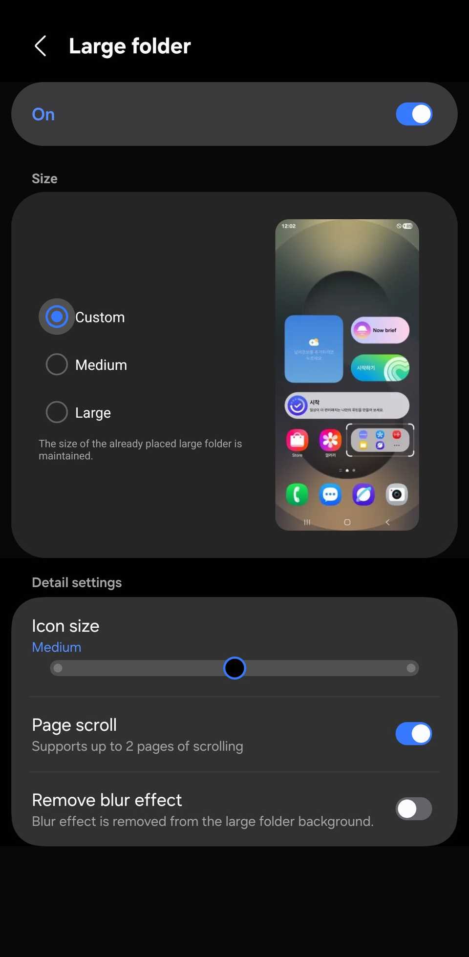 Home Up "Large folder" settings page with different size options.