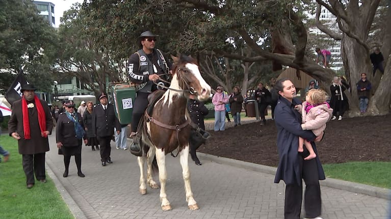 The petition was delivered on to Parliament grounds by a single horse.
