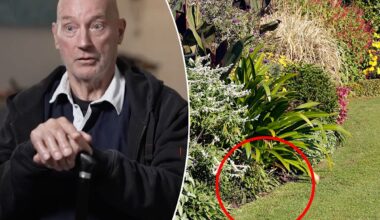 Aussie retiree's garden warning after common backyard mistake ends in 10-day coma: 'Had no idea'