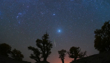 Orionid meteor shower to streak across night sky this week
