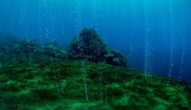 Tonga's volcano looked small, but researchers say its collapse may have supercharged a tsunami
