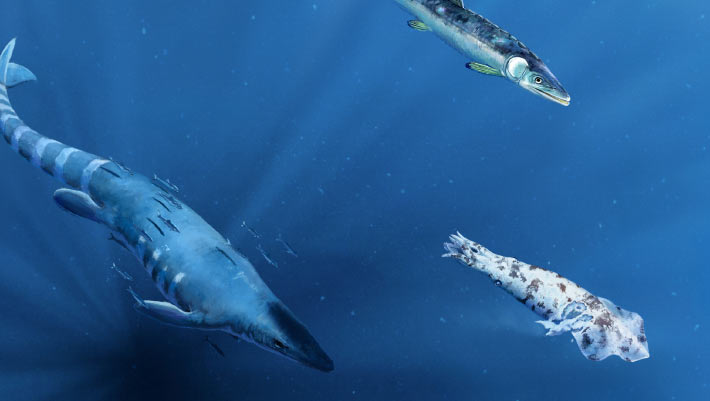 Fossil of Giant Squid-Like Creature from Cretaceous Period Bears Marks of Deadly Attack