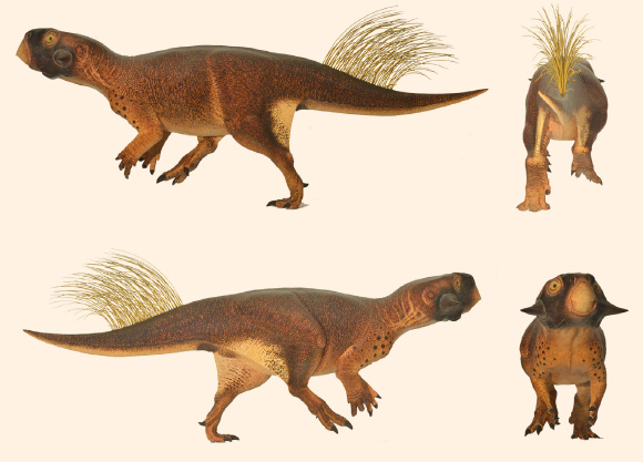 Model of Psittacosaurus sp. based on skin and pigmentation patterns on the specimen from the Senckenberg Museum, Germany. Image credit: Jakob Vinther et al.