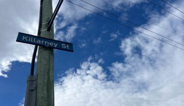 Pedestrian dies after being hit by vehicle in Alexandra driveway