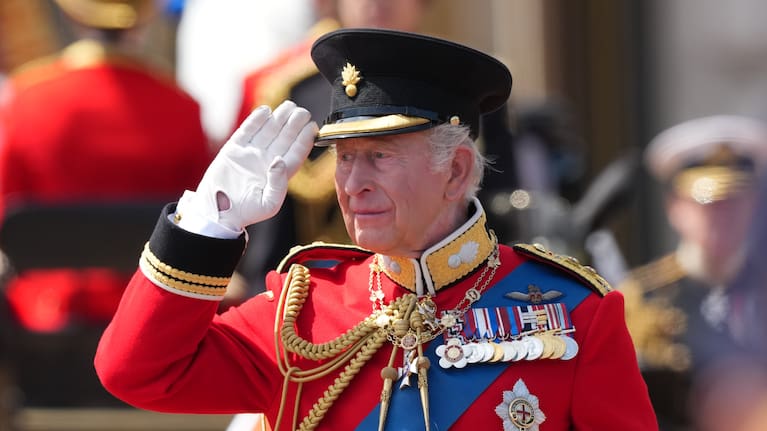 King Charles believes the release of the bill will promote accountability.