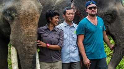 Leonardo DiCaprio helped protect Indonesia’s Leuser Ecosystem, a rare rainforest where elephants, tigers and orangutans still live together