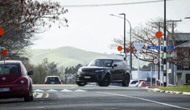 Why does Hamilton have so many speed bumps?