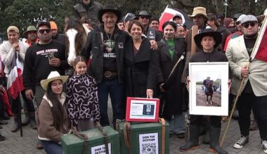 Horse convoy deliver Te Tiriti petition to Parliament
