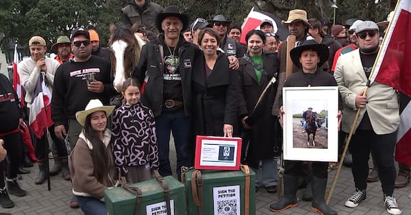 Horse convoy deliver Te Tiriti petition to Parliament