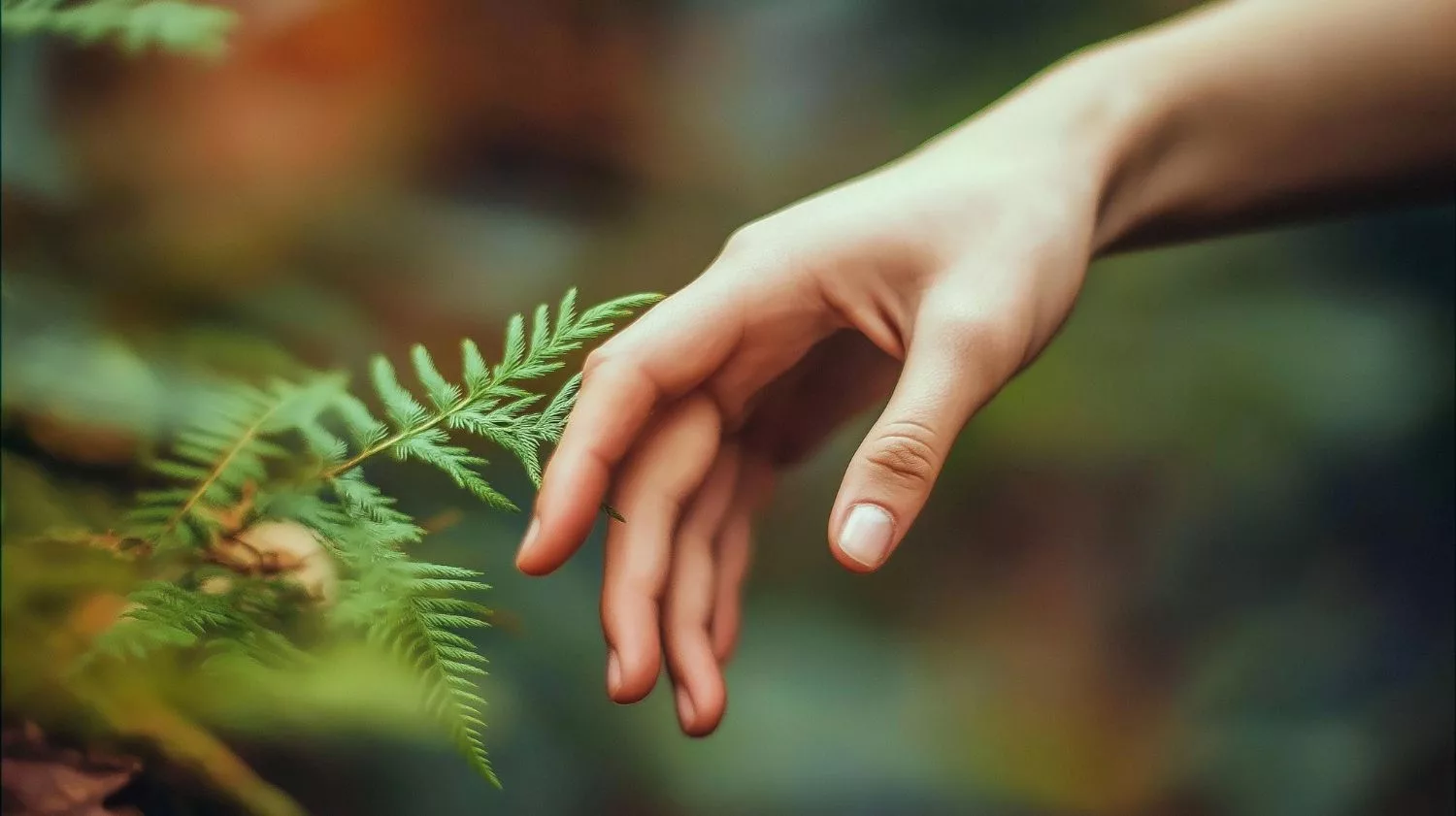 How do plants sense touch? Scientists uncover the molecular cascade behind mechanical sensing